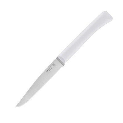 Нож столовый Opinel N°125, полимерная ручка, нерж, сталь купить фото, изображение