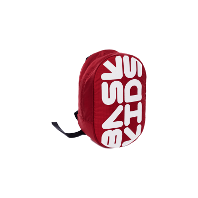 Рюкзак детский BASK kids VEEZG, объем 10 л, цвет: красный/черный, серый свтл/красный, черный/красный купить фото, изображение